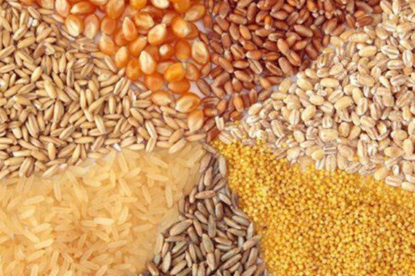 نهادیهای دامی