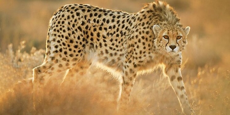 14011203001172_Test_PhotoN