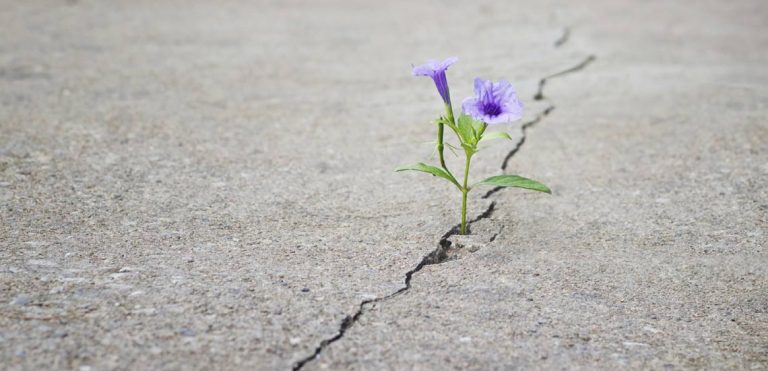 خلق معنا در زندگی