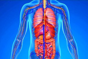 روزانه به چه مقدار پروتئین نیاز داریم؟