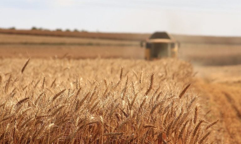 امنیت غذایی