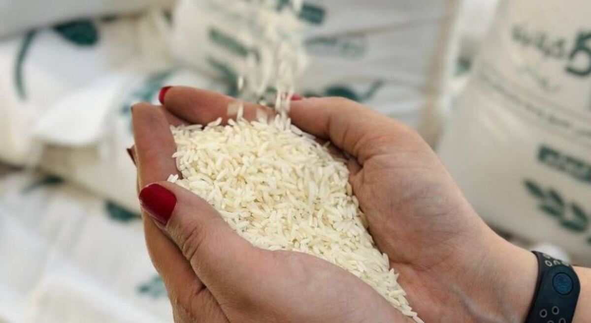 برنج ایرانی