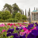 سعدی‌