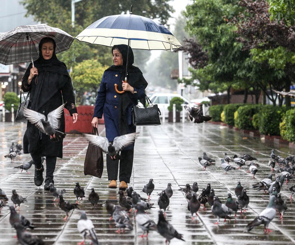 رگبار و رعد و برق