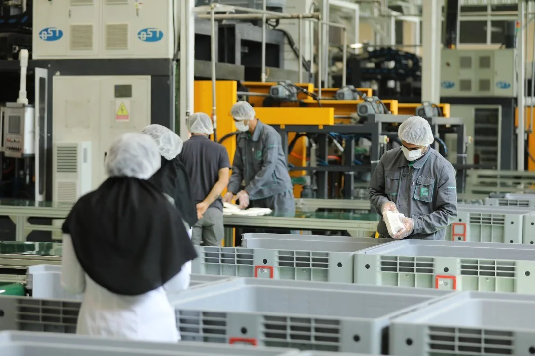 کارخانه-طبیعت-سلولز-jpg