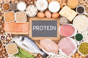 پروتئین گیاهی یا حیوانی