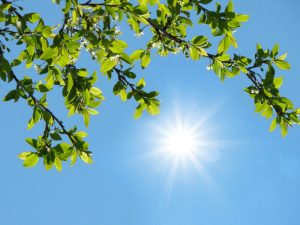 آسمانی صاف