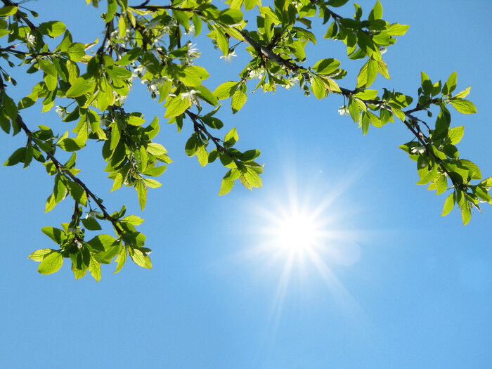 آسمانی صاف
