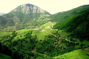 جنگل دیزمار ورزقان