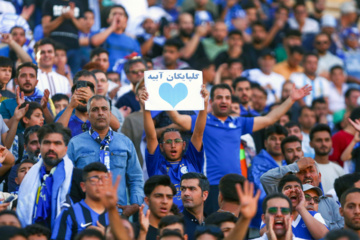 تاجرنیا