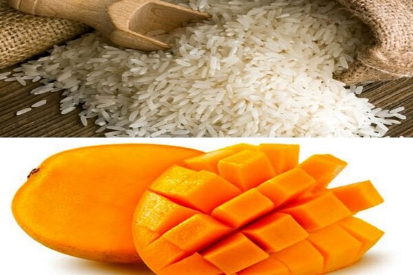 «برنج» و «انبه»