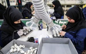 تعاونی‌های خانوادگی