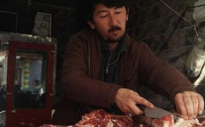 اتباع بیگانه