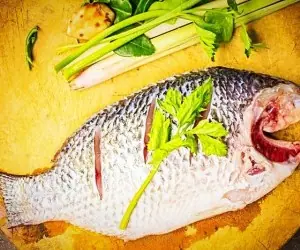 رفع بوی بد ضخم ماهی
