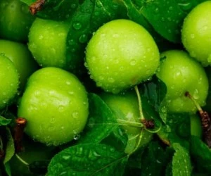 گوجه سبز