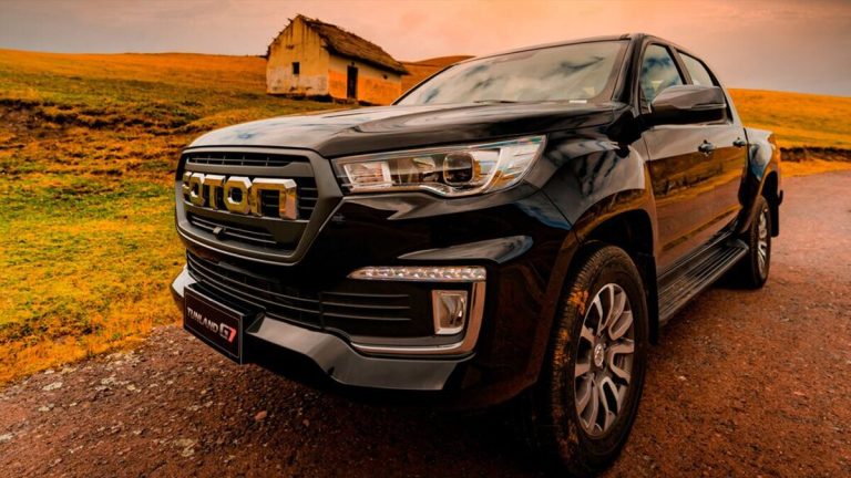 وانت های چینی