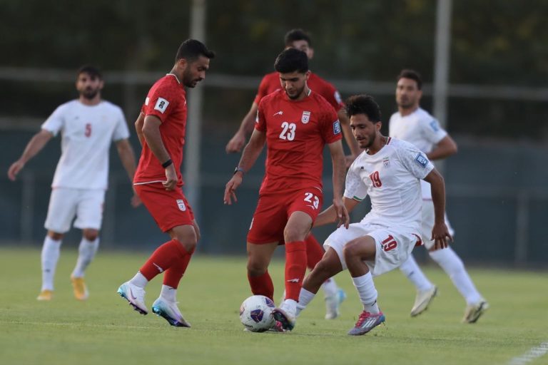 قلعه‌نویی