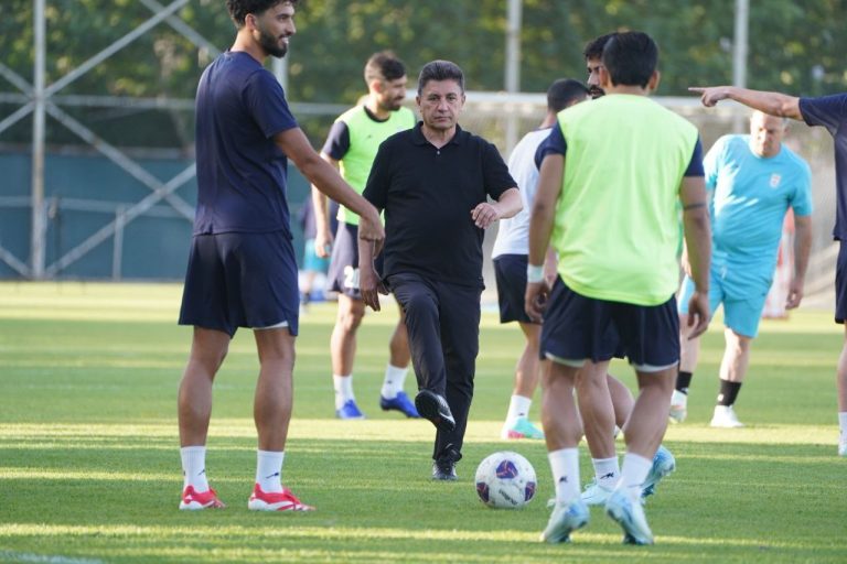 قلعه‌نویی