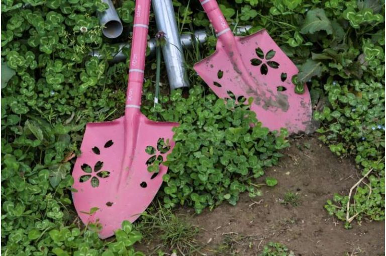 خاک‌های آلوده