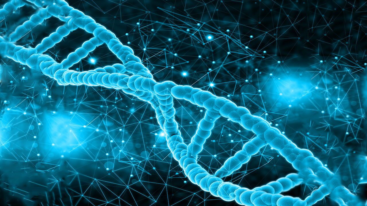 تعامل نانوساختارهای DNA
