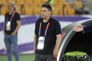 قلعه‌نویی