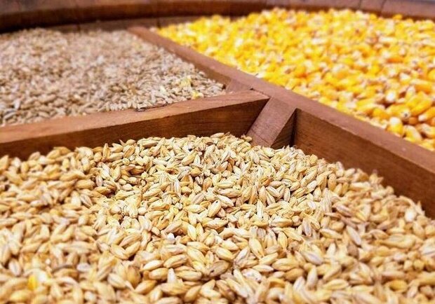 نهادههای دامی