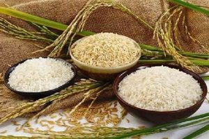 حذف واردات برنج‌