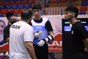 آرین سلیمی