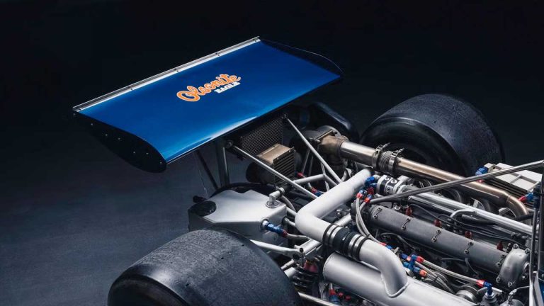 داستان گورنی فلپ