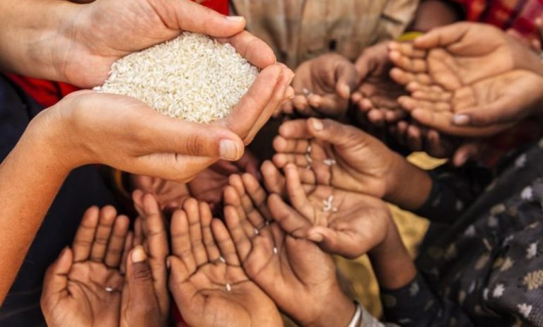 امنیت غذایی