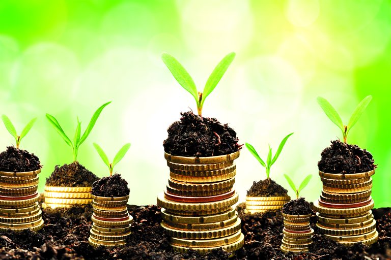 محصول واقعی