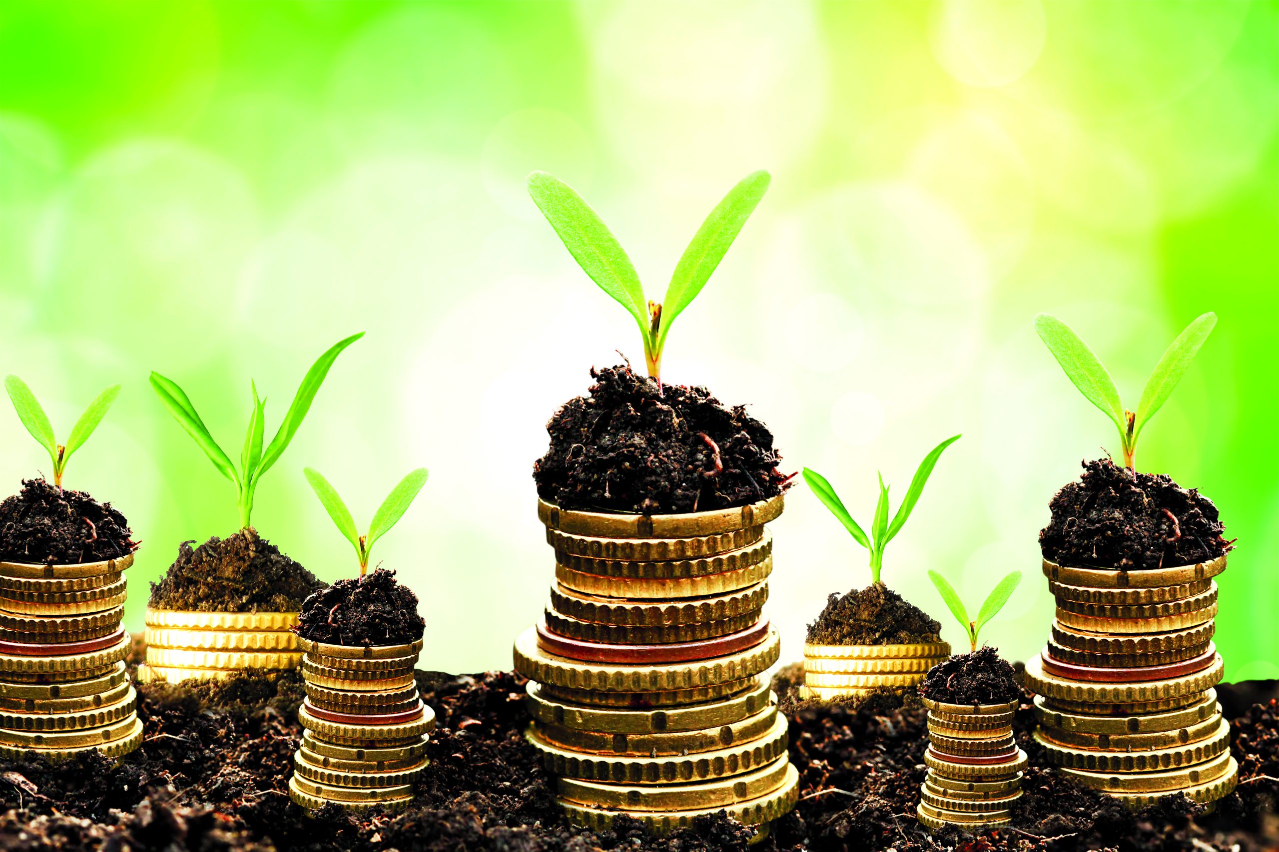 محصول واقعی