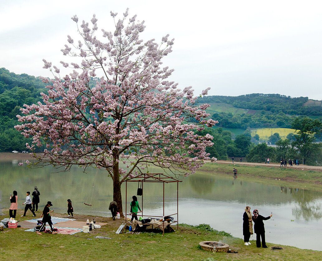 تعطیلات رویایی در تابستان