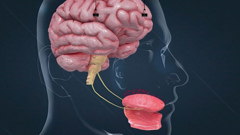 زبان مصنوعی