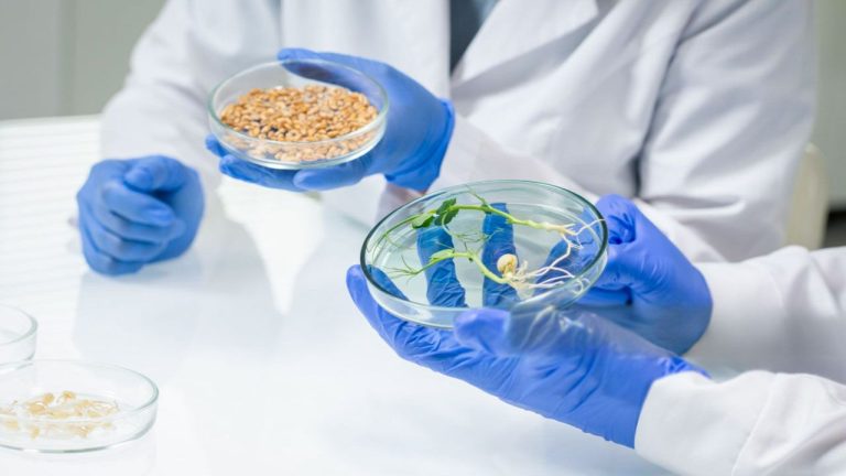 کشاورزی هوشمند