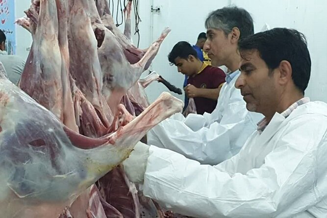 ذبح دام