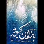 «باران کبوتر»‌
