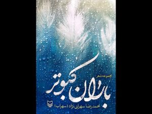«باران کبوتر»‌