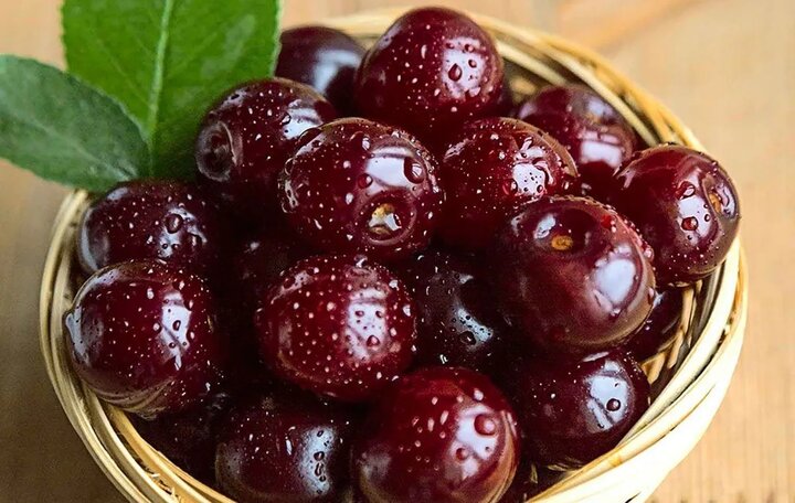 میوه ترش