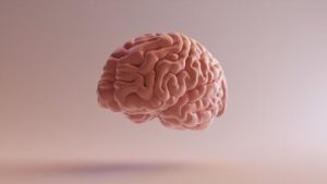 تقویت کننده حافظه