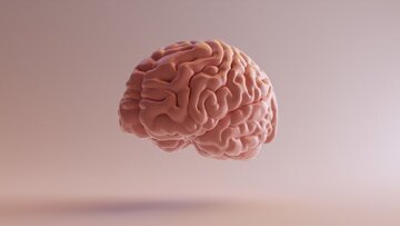 تقویت کننده حافظه