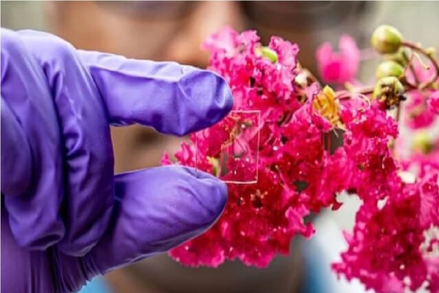 پوشش شیشه‌ای
