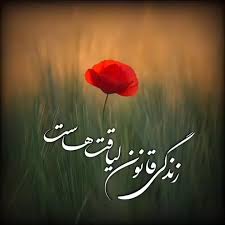 قانون لیاقت‌ها