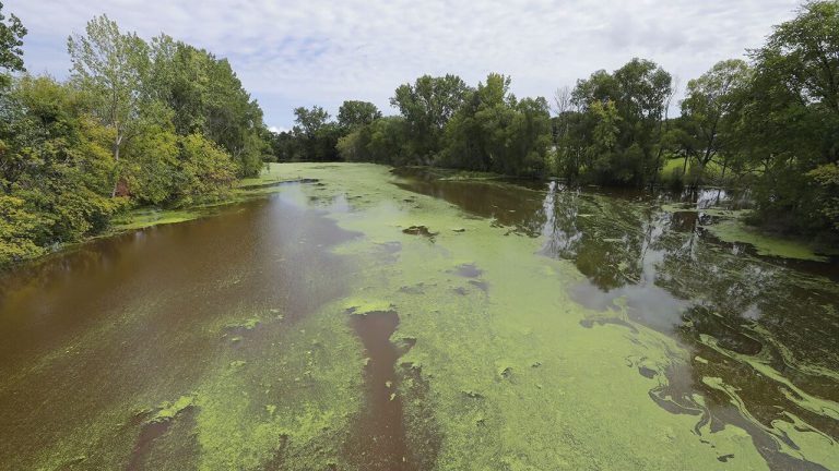 دریاچه‌های ویسکانسین