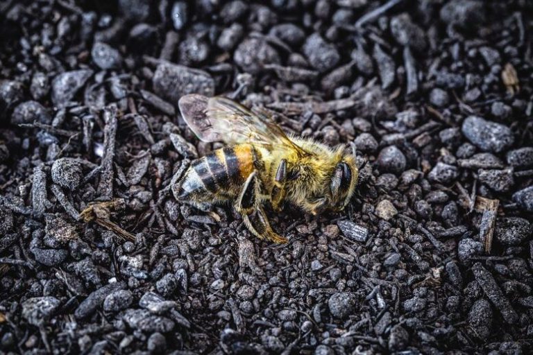 تغییرات اقلیمی