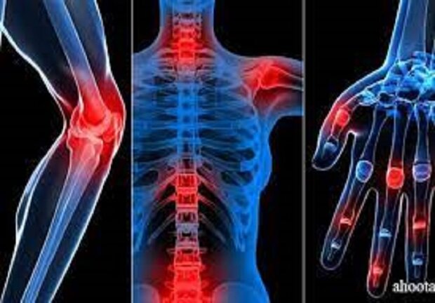 سلول‌های بنیادی بندناف