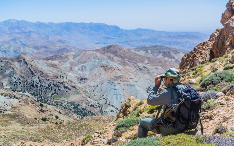 محیط‌بان کرمانی