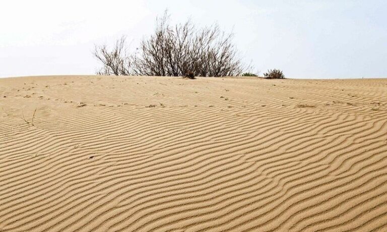 مهار گردوغبار سراجه قم