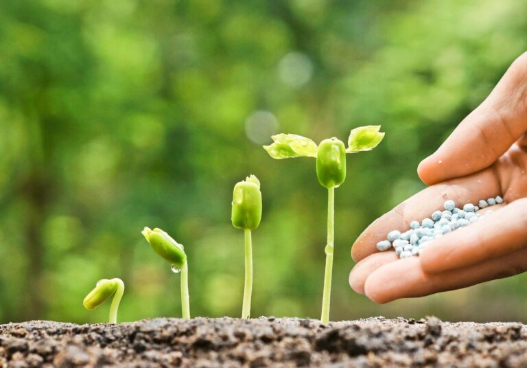 کودهای نانویی