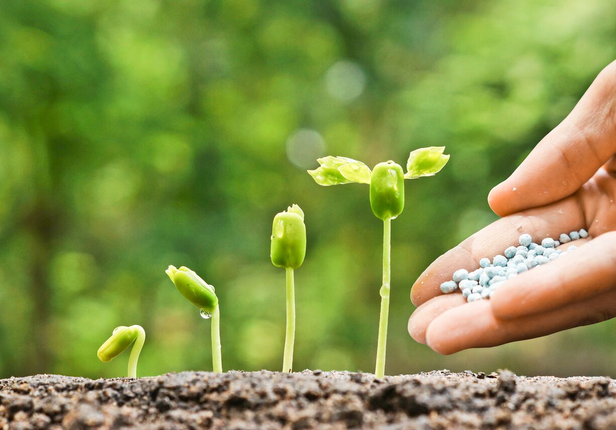 کودهای نانویی